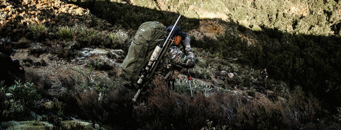 Roar Ready with Great Gear